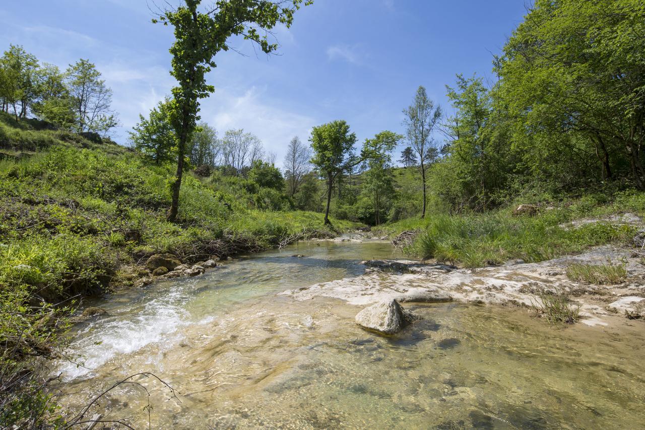 Resort Cize Pazin Eksteriør billede